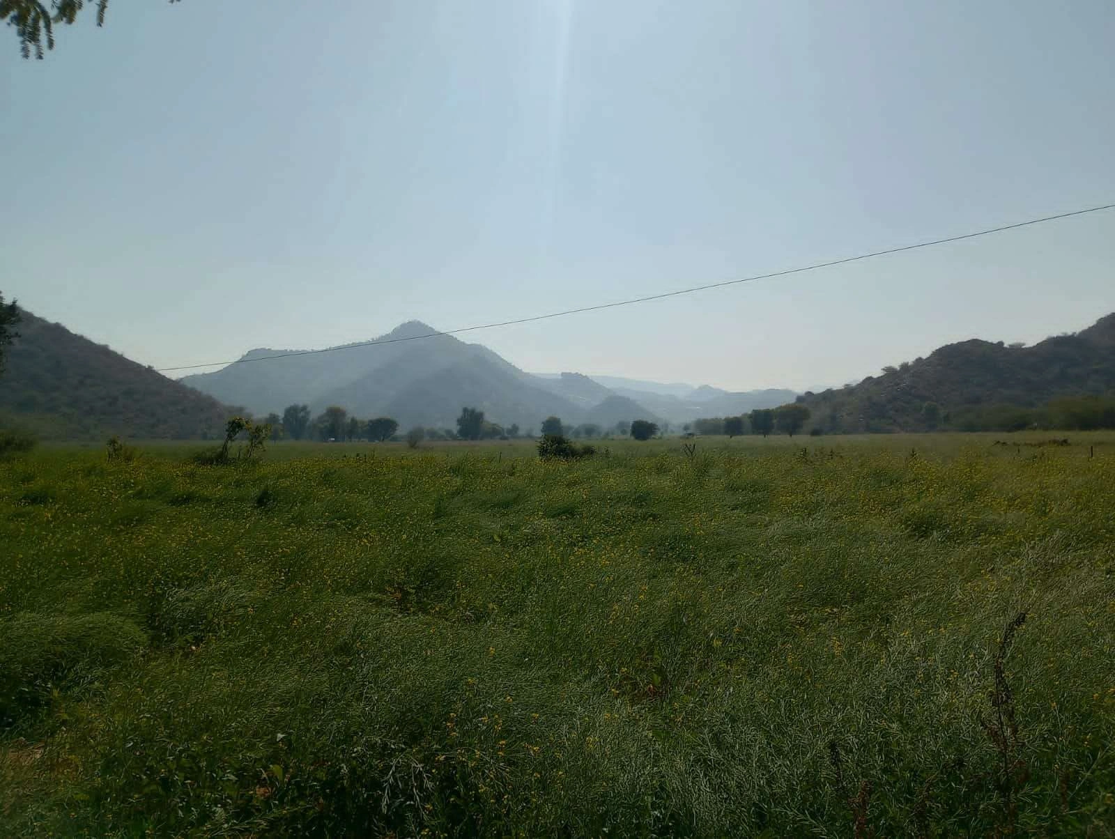 JHHF+65 Hajipur, Rajasthan, India