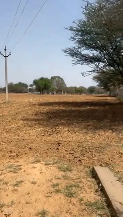 CXP7+QF5, Rampura, Rajasthan 303103, India preview 2