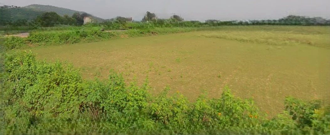 Khatoo, Rajasthan 332602, India
