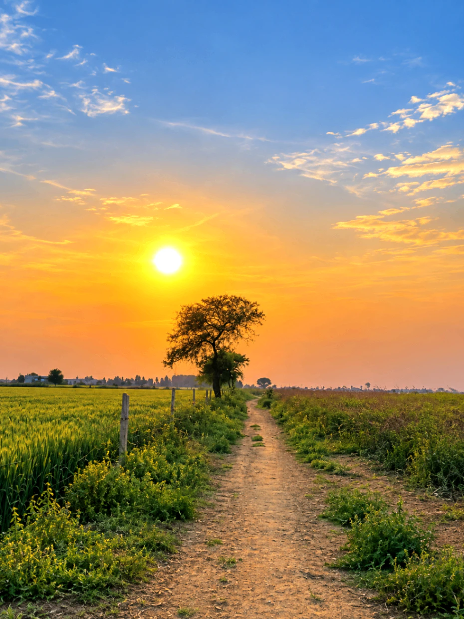 Khudan, Jhajjar, Haryana 124108, India