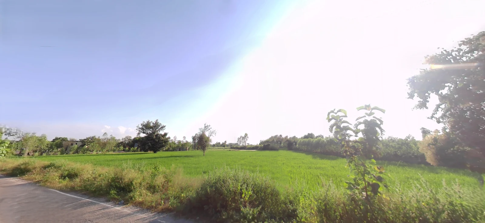 Biharigarh, Uttar Pradesh 247662, India