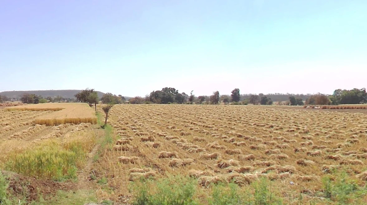 Indokh, Madhya Pradesh 456441, India