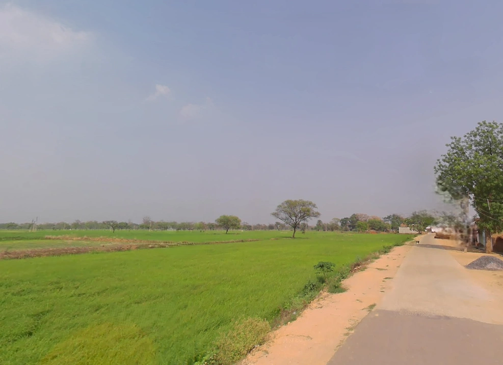 Bhalukona, Chhattisgarh 493555, India