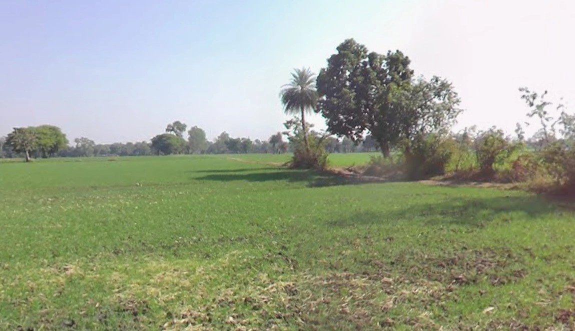 Kushalpura, Madhya Pradesh 462044, India