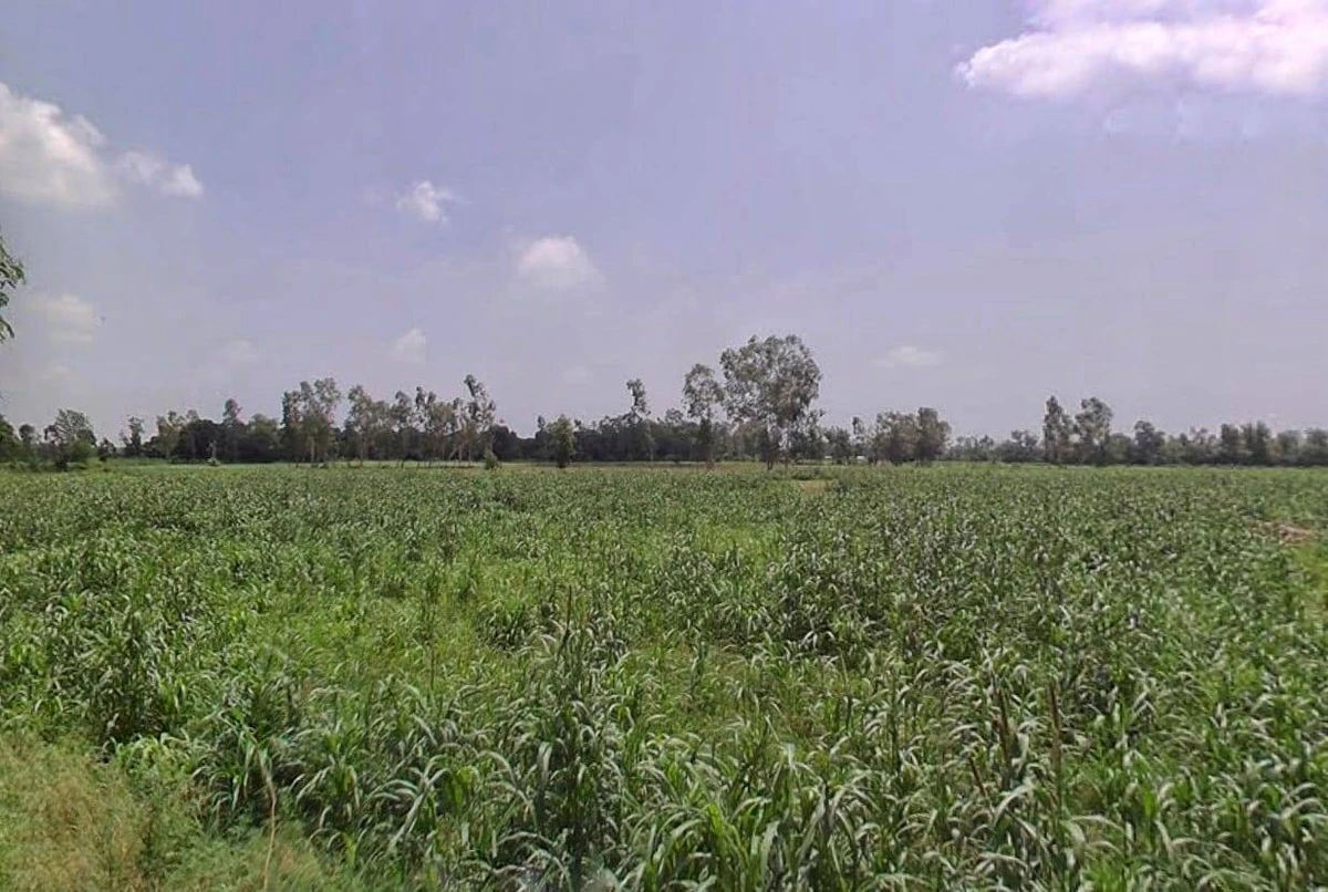 Kithaur, Uttar Pradesh 250104, India