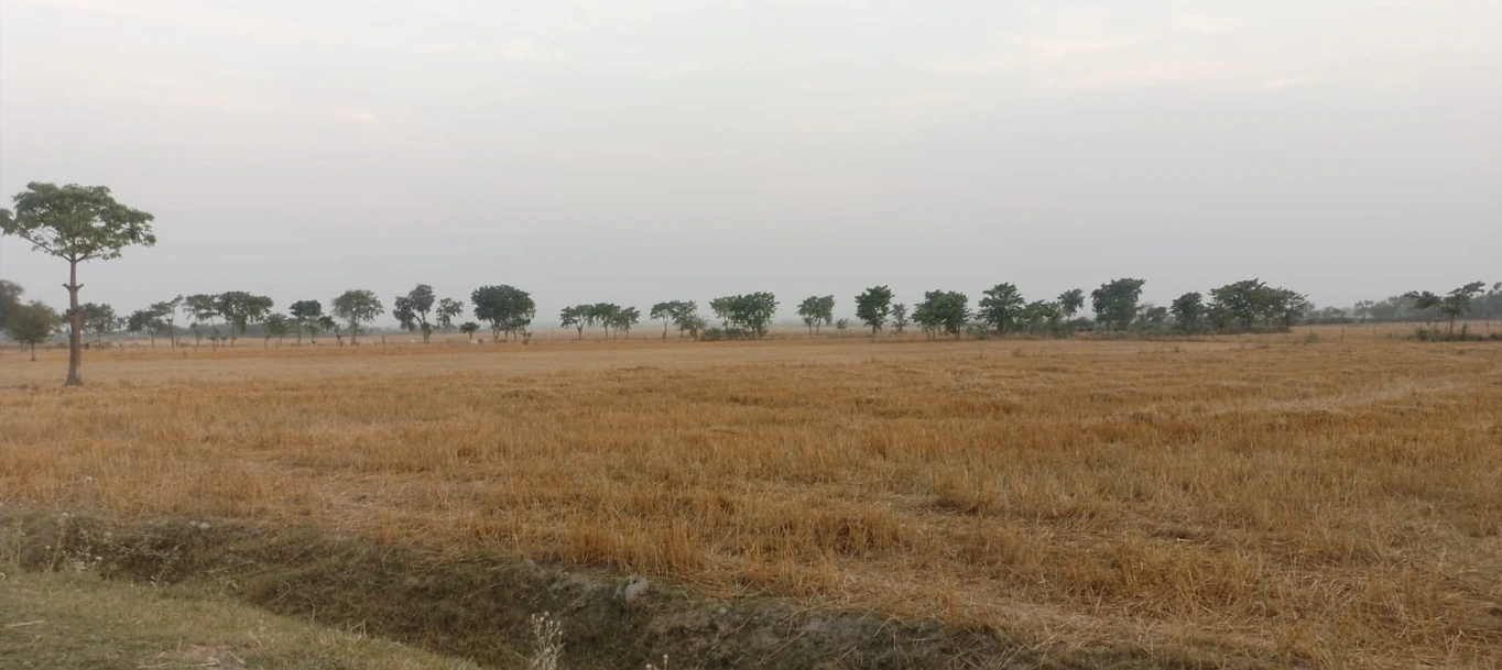 Ingoriya, Madhya Pradesh 456222, India