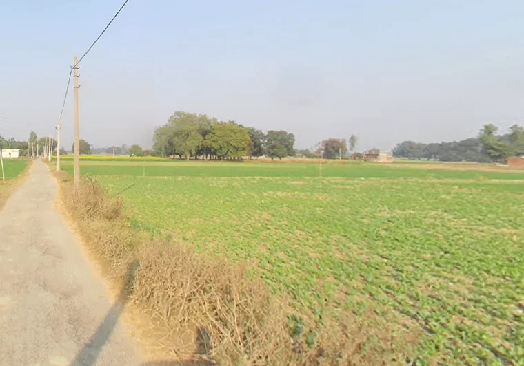 Karchana, Uttar Pradesh 212301, India preview 2