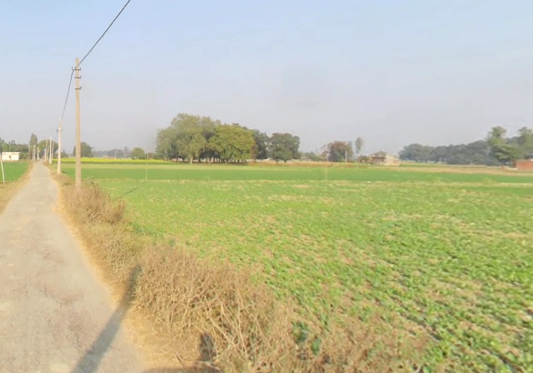 Karchana, Uttar Pradesh 212301, India