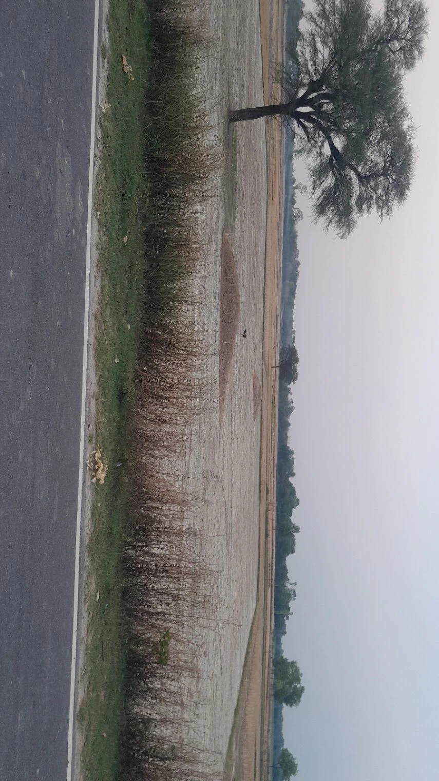 MXPX+2X Gothwara, Uttar Pradesh, India