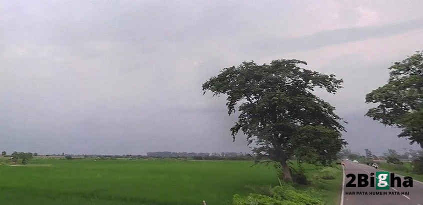 Ajgain, Uttar Pradesh, India