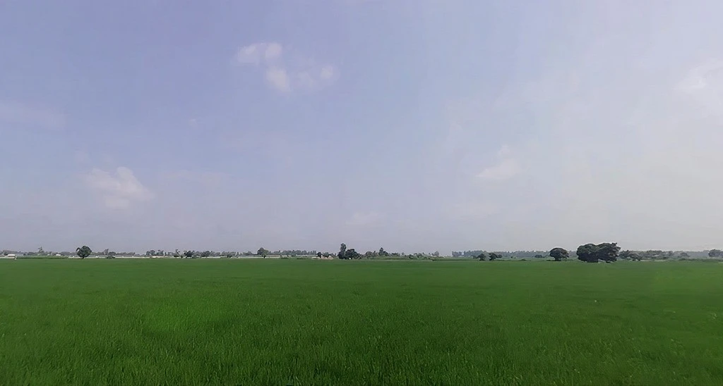 Pabla, Haryana 136020, India