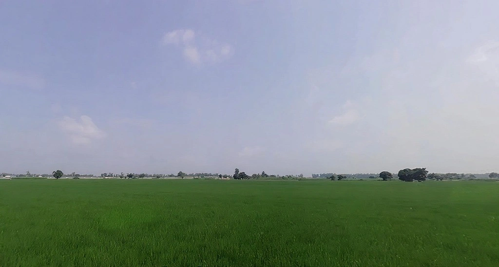 Pabla, Haryana 136020, India