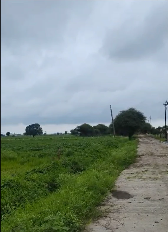 Ringnodiya, Indore, Madhya Pradesh, India