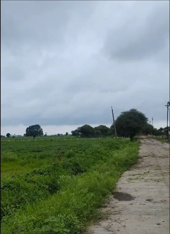 Ringnodiya, Indore, Madhya Pradesh, India