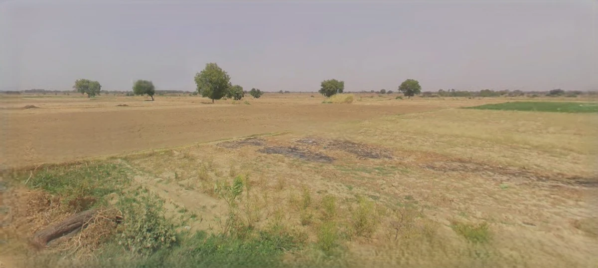 Barnagar, Madhya Pradesh 456771, India