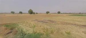 Barnagar, Madhya Pradesh 456771, India preview 3