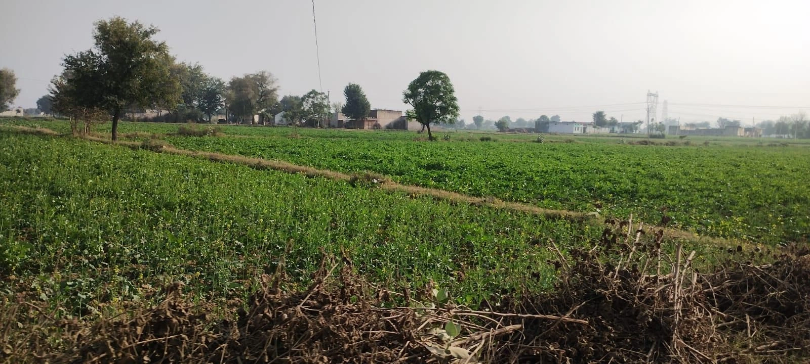 58FH+F9 Aghwanpur, Palwal, Haryana, India