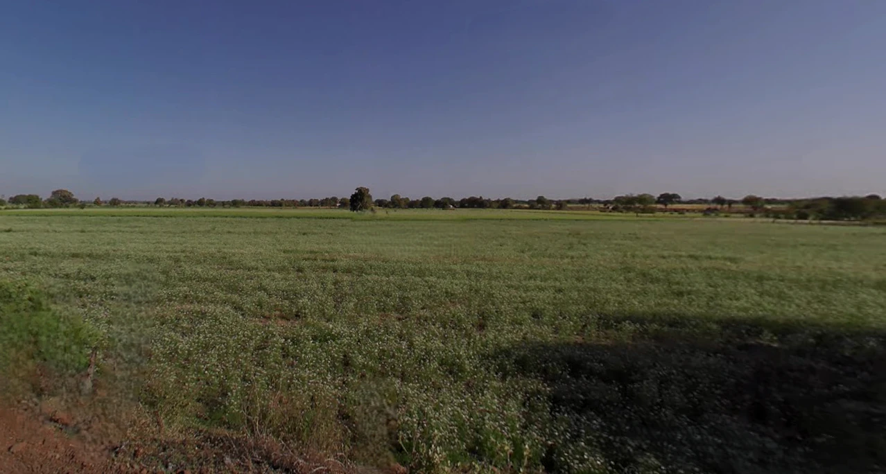 Bilara, Rajasthan 342602, India