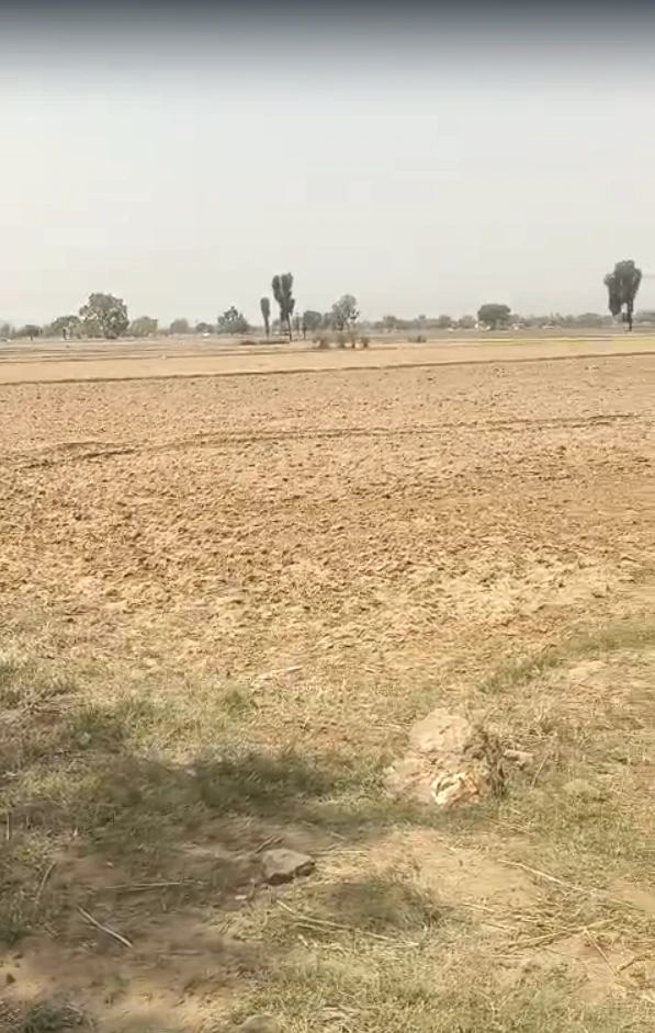 3VCM+R2 Ubaraka, Rajasthan, India