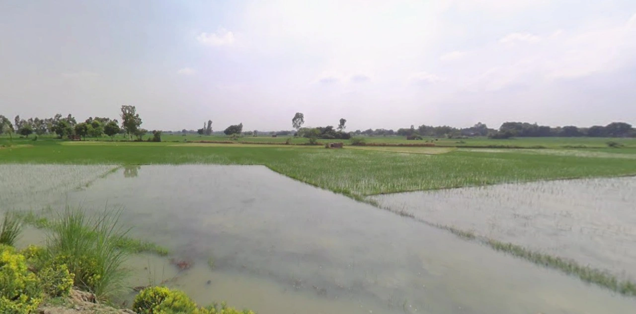 Anupgarh, Rajasthan 335701, India