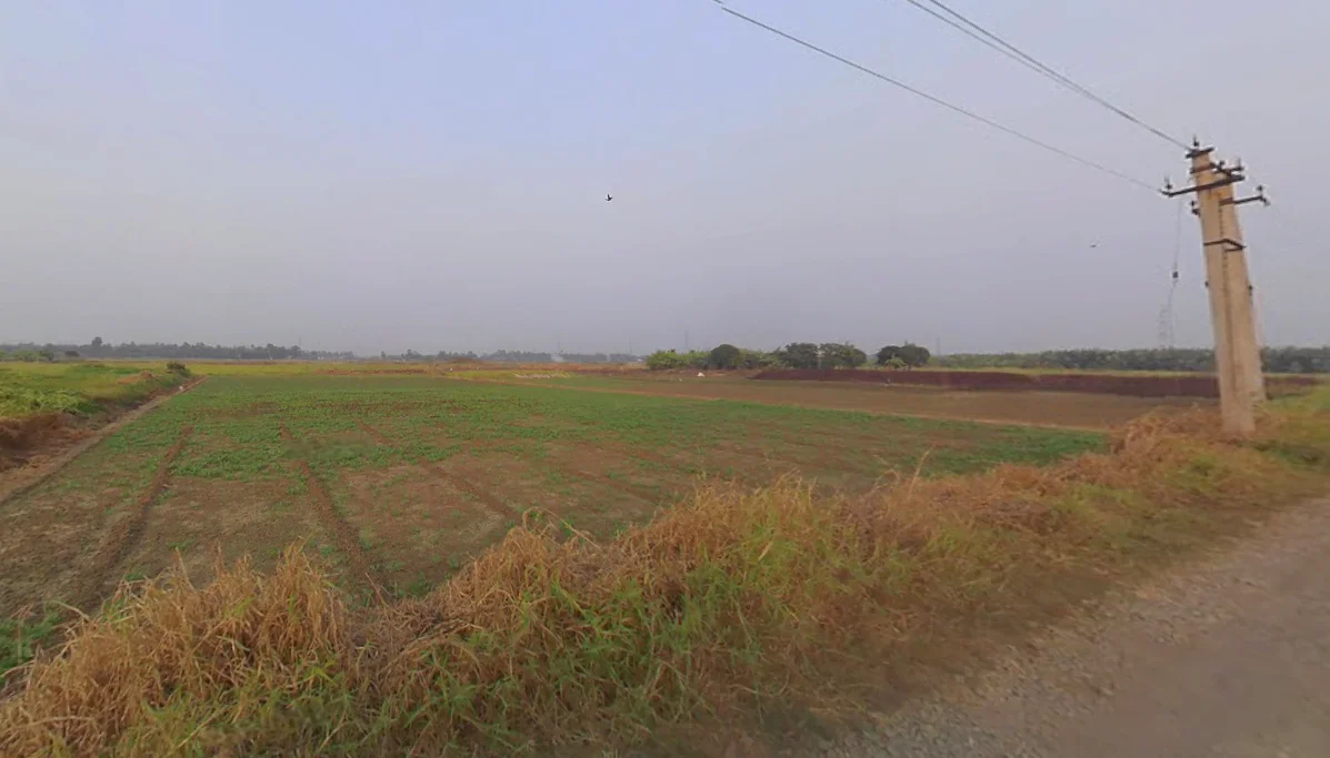 Duttapukur - Nilganj Rd, Kashim Pur, Duttapukur, Gangapur, Shibalaya, West Bengal 743248, India preview 2