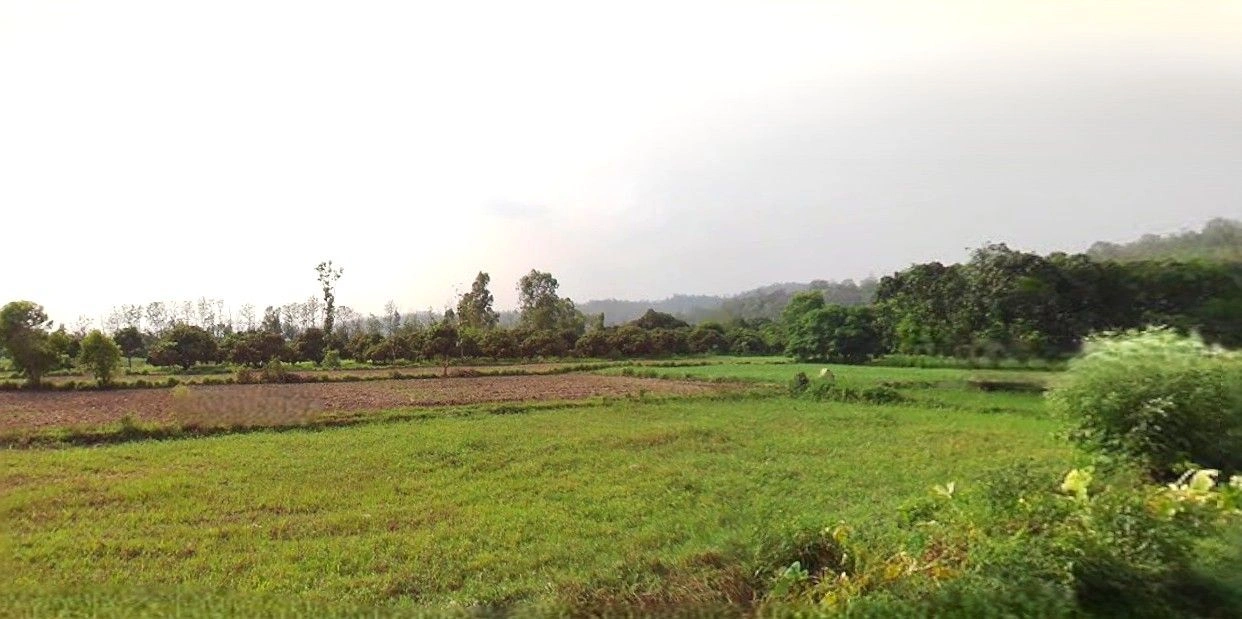 Bazpur, Uttarakhand 262401, India