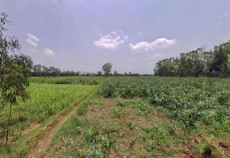 Kithaur, Uttar Pradesh 250104, India preview 3