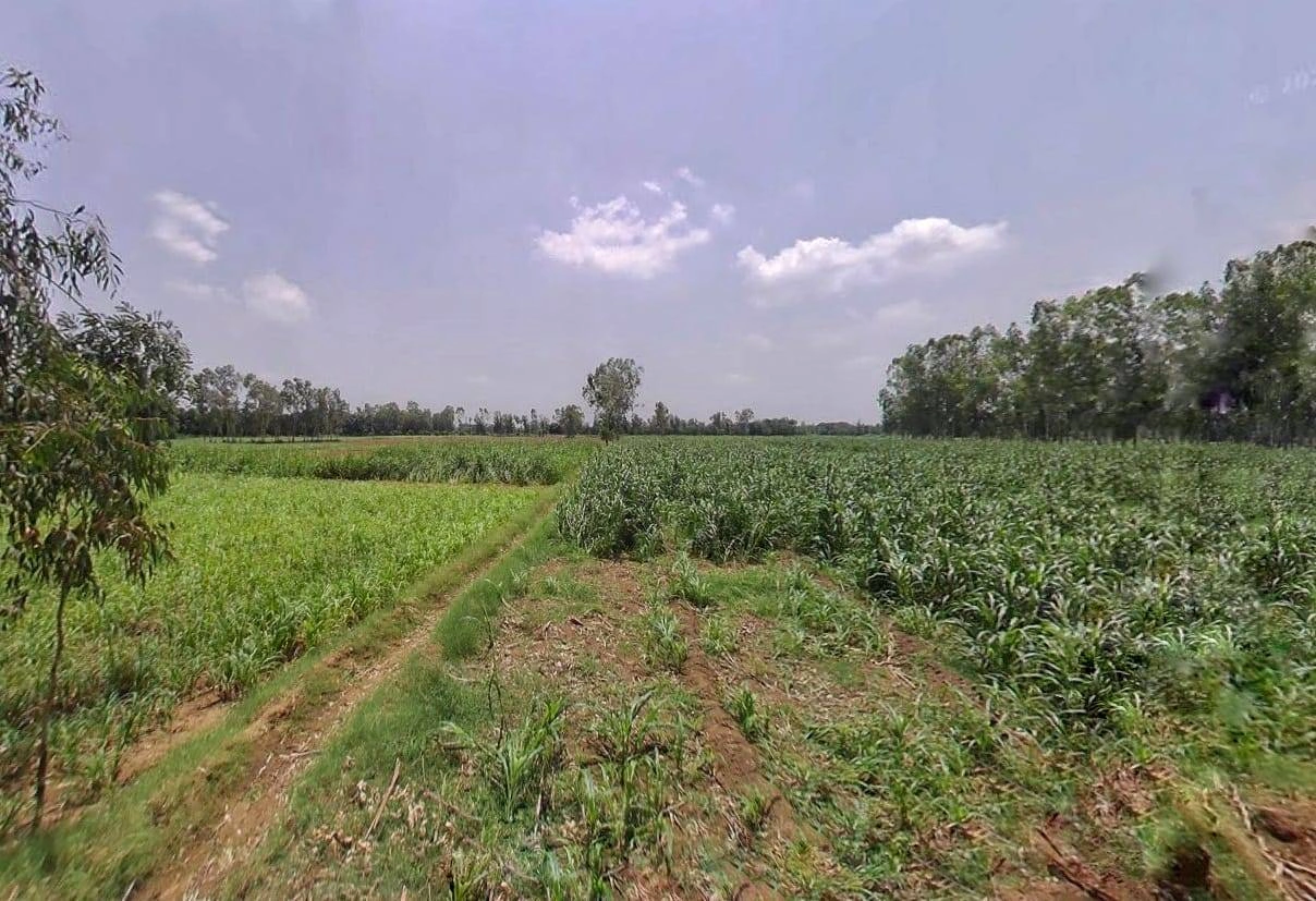 Kithaur, Uttar Pradesh 250104, India