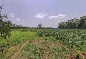 Kithaur, Uttar Pradesh 250104, India preview 3