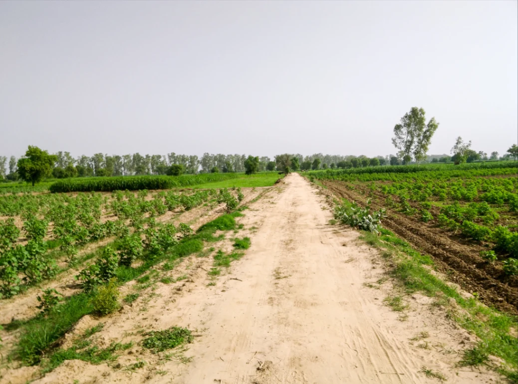 Bina, Madhya Pradesh 470113, India