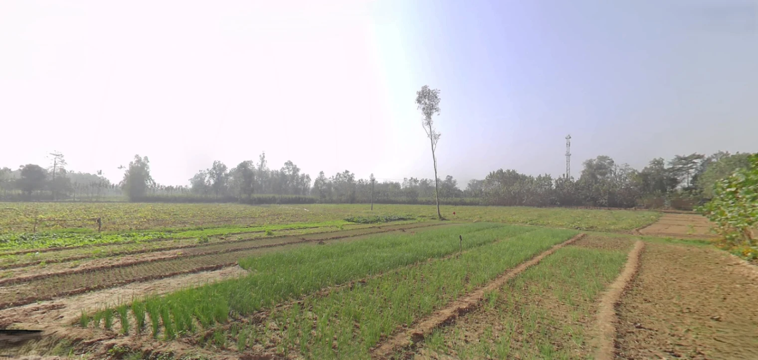 Hasanpur, Uttarakhand 247662, India