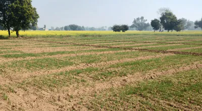 Morinda - Chunni Rd, Bhateri, Punjab, India preview 3