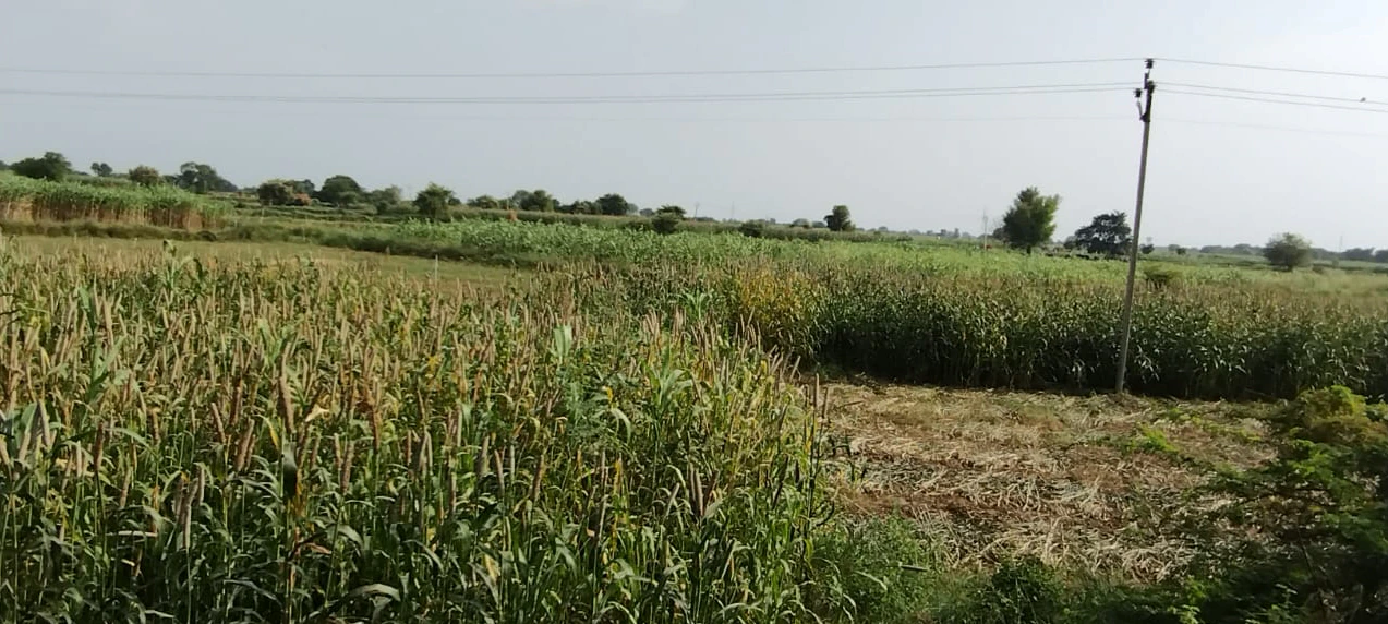 Barnagar, Madhya Pradesh 456771, India