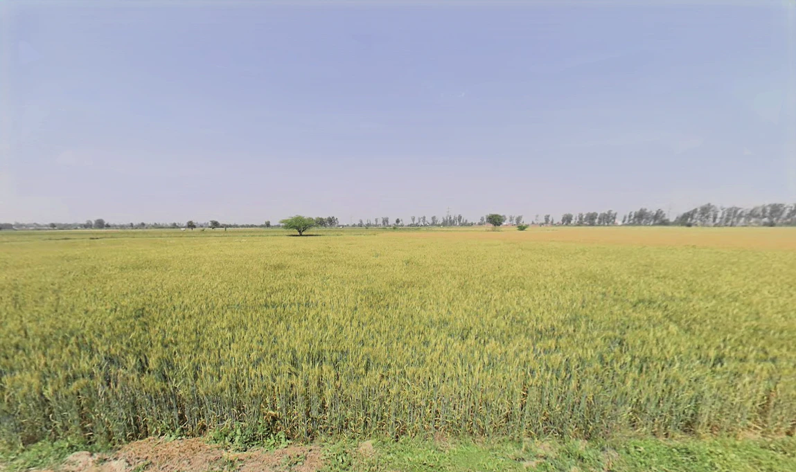 Sarurpur, Haryana, India