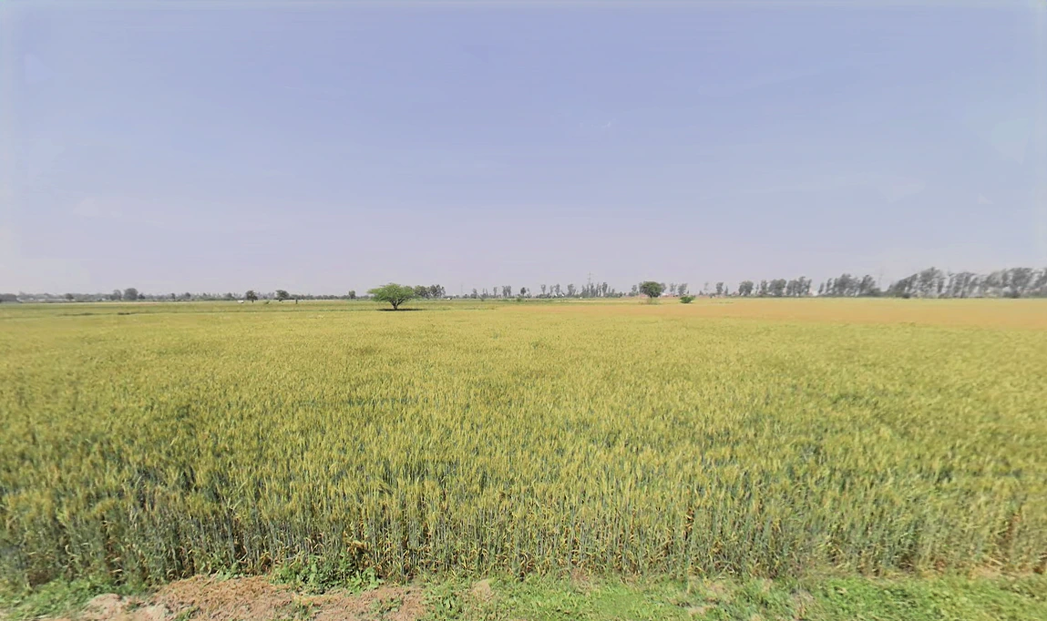 Sarurpur, Haryana, India