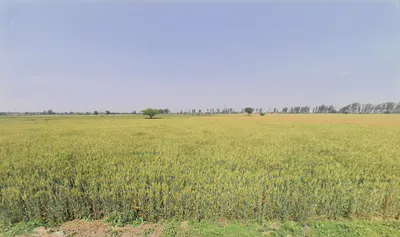 Sarurpur, Haryana, India preview 3