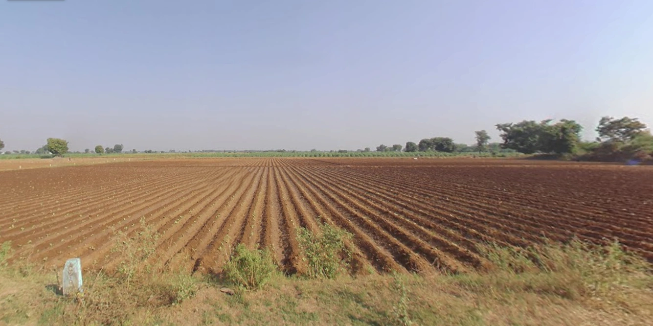 Ravad, Gujarat, India