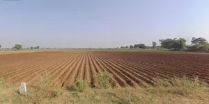 Ravad, Gujarat, India preview 2