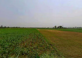 Sardhana, Uttar Pradesh 250342, India preview 2