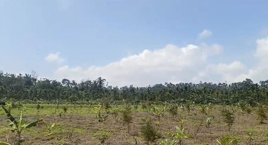 Rajewadi, Palghar, Maharashtra 401603, India