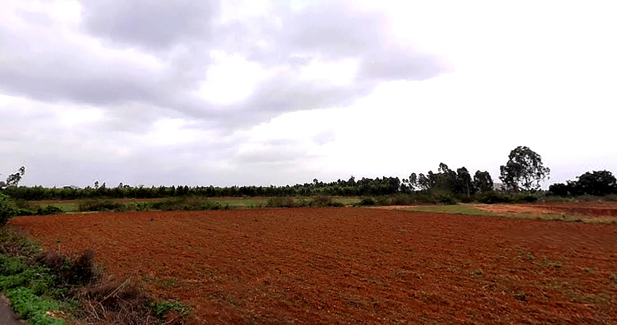25, Chikkanahalli, Devanahally, Bandikodegehalli Amanikere, Karnataka 562149, India