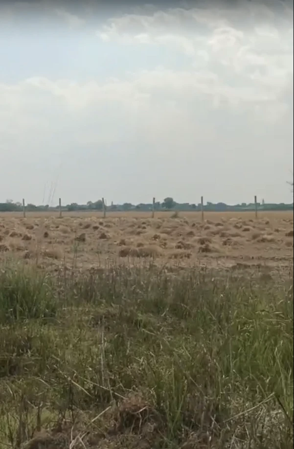 6RGC+9HF, Jebariya, Rajasthan 304021, India