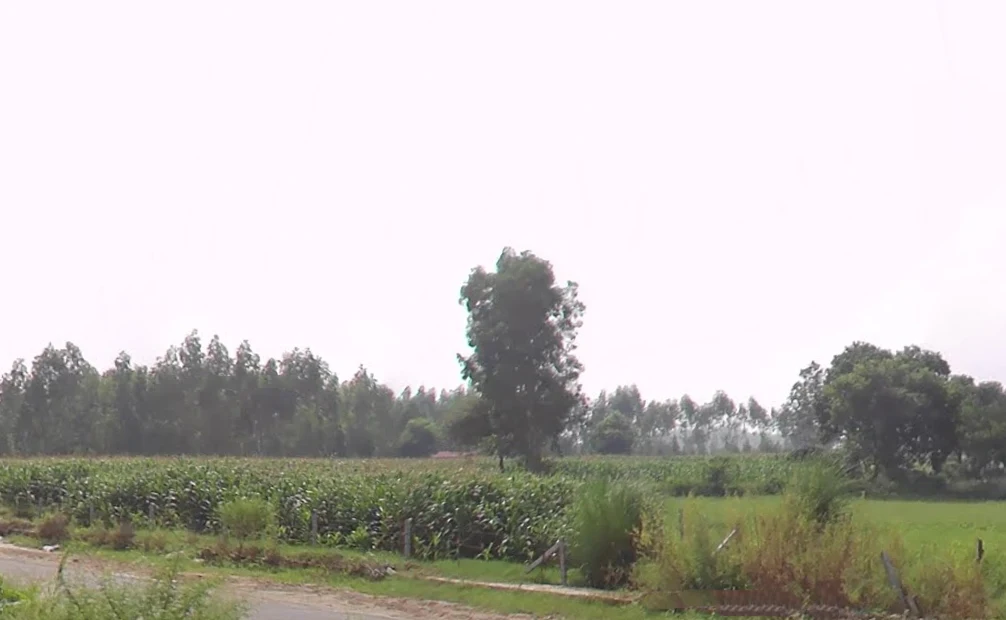 Raipur Rani, Haryana 134204, India