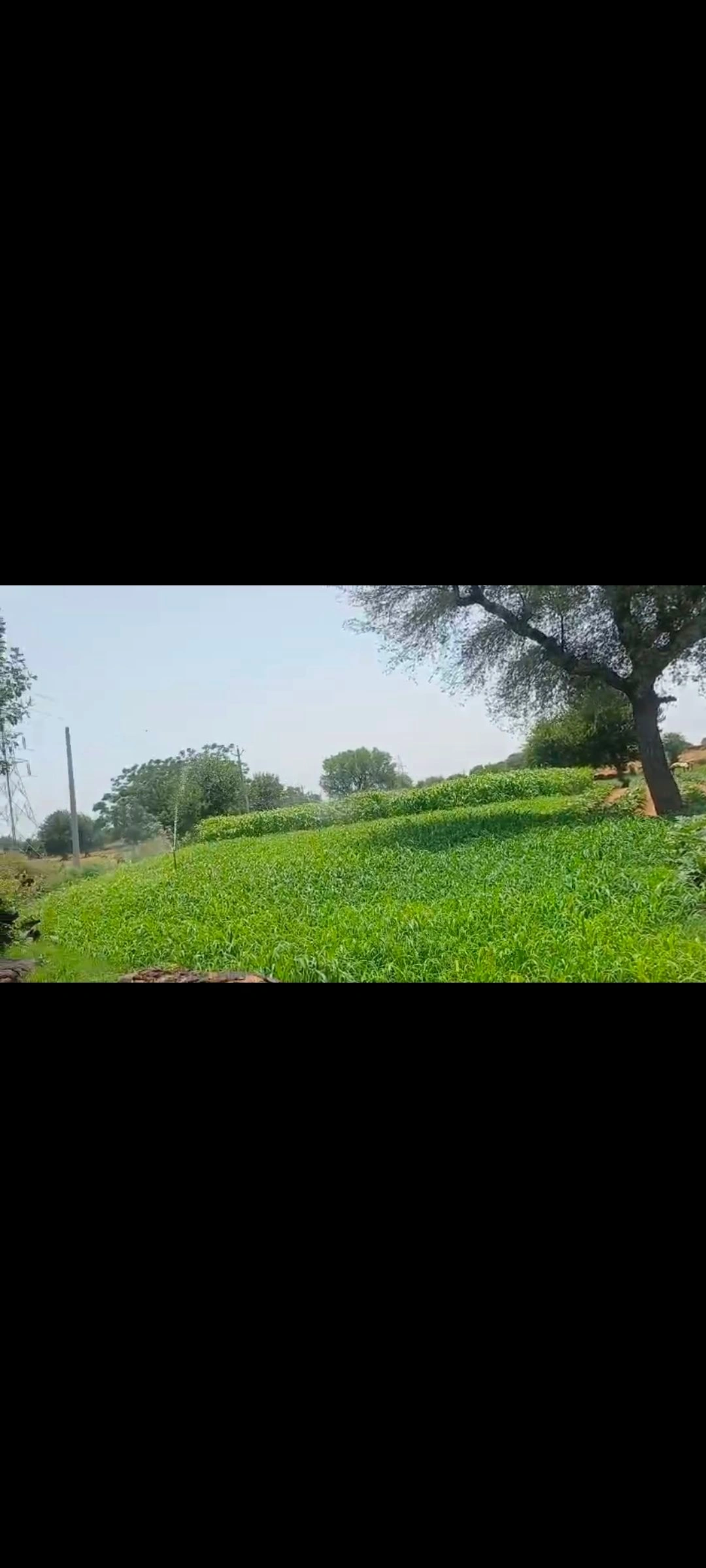 Jawanpura, Viratnagar, Kotputli-Behror, Rajasthan, India