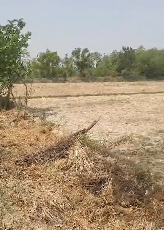 Khariberia, West Bengal 721635, India