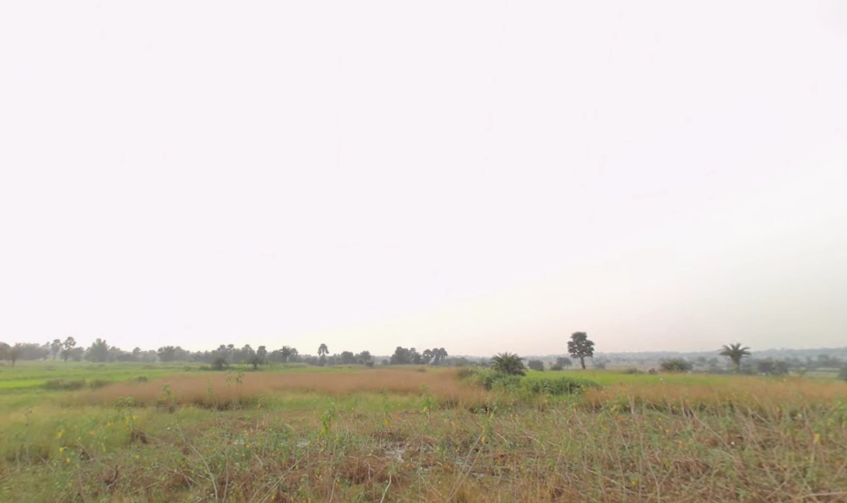 Susunia, West Bengal 722132, India