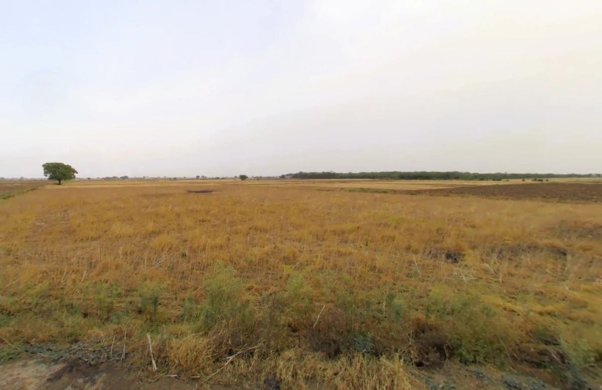 Luhari, Haryana 124108, India