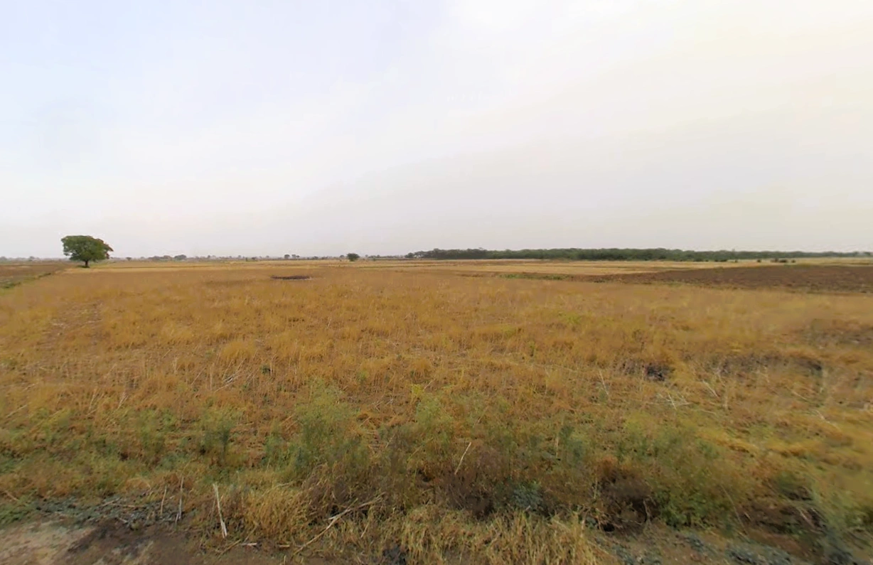 Luhari, Haryana 124108, India