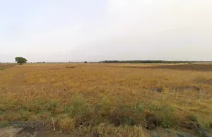Luhari, Haryana 124108, India preview 3