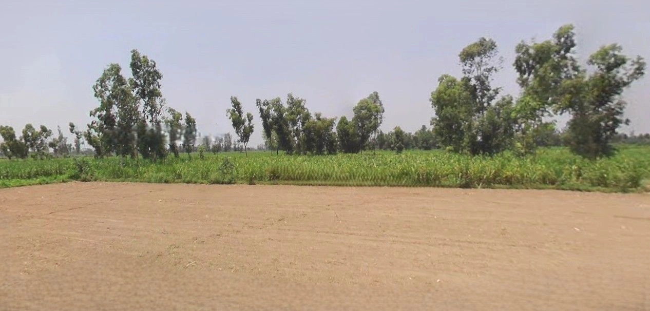 Lalganj, Uttar Pradesh 229206, India